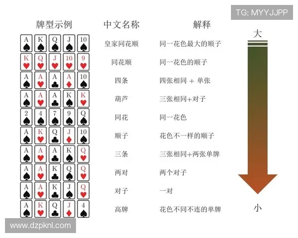 德州撲克技巧與策略全面解析提升你的牌技水平